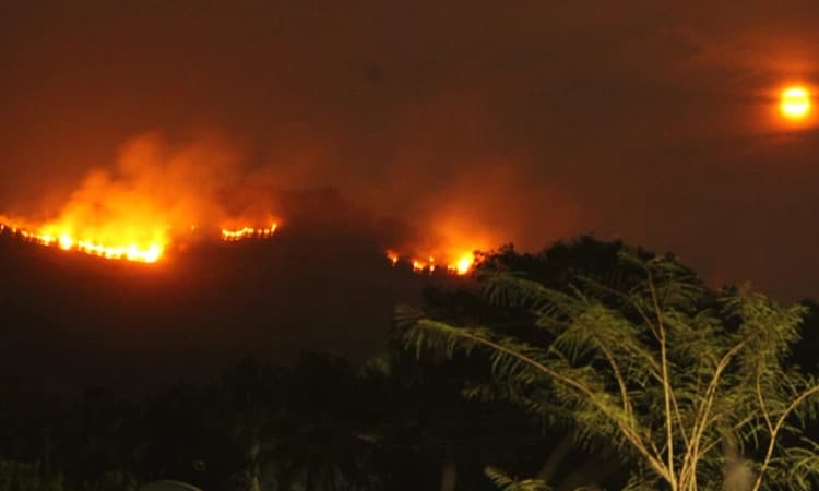 ಶಿಶಿಲ ಶಿಬಾಜೆಯಲ್ಲಿ ಹತೋಟಿಯತ್ತ ಕಾಳ್ಗಿಚ್ಚು: ನೌಕಾಪಡೆ ತಂಡದಿಂದ ಸರ್ವೇಗೆ ಆಗ್ರಹ