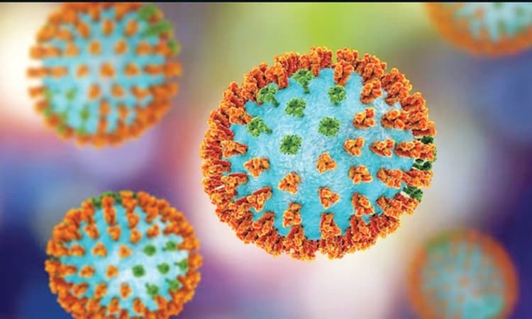 ಎಚ್‌3ಎನ್‌2 ನಿಯಂತ್ರಣಕ್ಕೆ ಕಣ್ಗಾವಲು ಕಾರ್ಯಜಾಲ