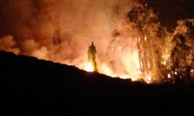 ಶಿಶಿಲ, ಶಿಬಾಜೆ: 4 ಸಾವಿರ ಹೆ. ಅರಣ್ಯ ಬೆಂಕಿಗೆ ಆಹುತಿ