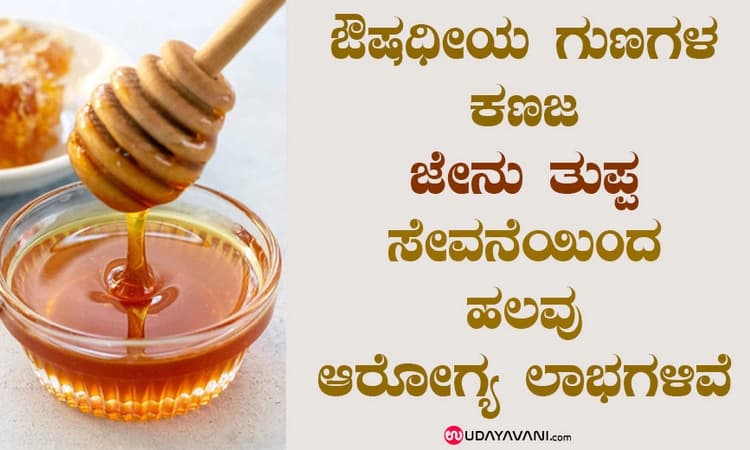ಔಷಧೀಯ ಗುಣಗಳ ಕಣಜ…ಜೇನು ತುಪ್ಪ ಸೇವನೆಯಿಂದ ಹಲವು ಆರೋಗ್ಯ ಲಾಭಗಳಿವೆ…