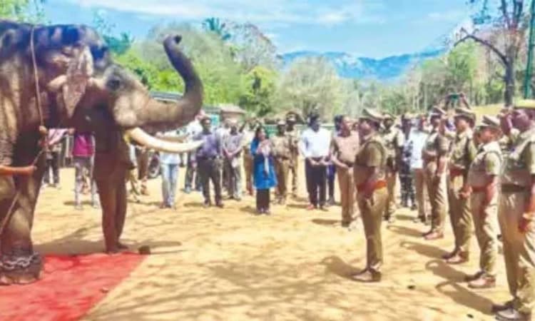 Video: 60ಕ್ಕೆ ನಿವೃತ್ತಿ…99 ರಕ್ಷಣಾ ಕಾರ್ಯಾಚರಣೆಯಲ್ಲಿ ಭಾಗಿಯಾದ ಆನೆಗೆ ಭಾವಪೂರ್ಣ ವಿದಾಯ