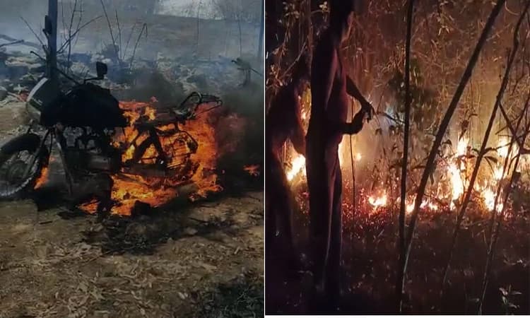 ಕಾಫಿನಾಡಲ್ಲಿ ಹೆಚ್ಚುತ್ತಲಿದೆ ಕಾಡ್ಗಿಚ್ಚು : ಬೆಂಕಿ ನಿಯಂತ್ರಿಸಲು ಅರಣ್ಯ ಇಲಾಖೆ ಹರಸಾಹಸ