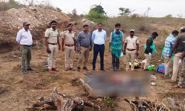 ನಾಗರಹೊಳೆಯಲ್ಲಿ 3 ವರ್ಷದ ಹೆಣ್ಣು ಚಿರತೆ ಶವ ಪತ್ತೆ