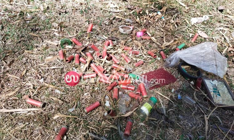 ಕೊಟ್ಟಿಗೆಹಾರ: ಮೀಸಲು ಅರಣ್ಯದ ರಸ್ತೆಯಲ್ಲಿ 60ಕ್ಕೂ ಹೆಚ್ಚು ಖಾಲಿ ಕಾಟ್ರೇಜ್ ಗಳು ಪತ್ತೆ