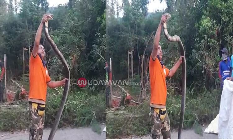 3 ದಿನದಿಂದ ಹೊತ್ತಿ ಉರಿಯುತ್ತಿರುವ ಚಾರ್ಮಾಡಿ ಅರಣ್ಯ: ಬದುಕುಳಿಯಲು ಮನೆ ಬಳಿ ಬಂದ ಕಾಳಿಂಗ