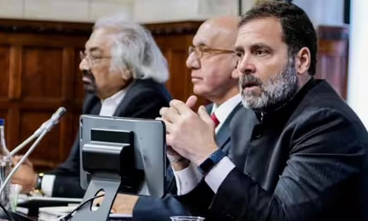 ಸಂಸತ್ತಿನಲ್ಲಿ ನಮಗೆ ಮೈಕ್ ಆನ್ ಮಾಡಲೂ ಅವಕಾಶವಿಲ್ಲ..; ಬ್ರಿಟಿಷ್ ಸಂಸದರ ಬಳಿ ರಾಹುಲ್