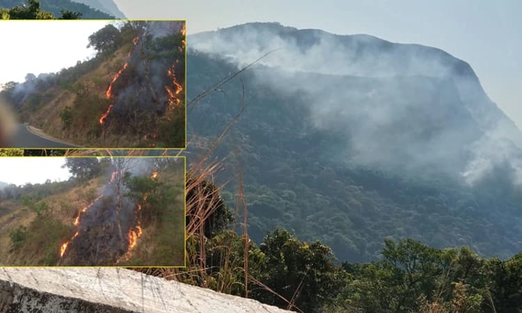 ಚಾರ್ಮಾಡಿ ಘಾಟ್‍ನಲ್ಲಿ ಮತ್ತೆ ಕಾಡ್ಗಿಚ್ಚು… ಹತ್ತಾರು ಎಕರೆ ಅರಣ್ಯ ಬೆಂಕಿಗಾಹುತಿ