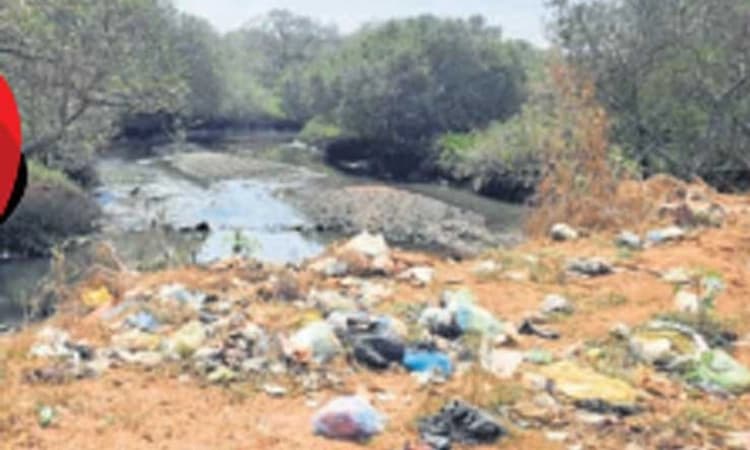 ಬೈಕಂಪಾಡಿ; ಭಾರೀ ಪ್ರಮಾಣದ ತ್ಯಾಜ್ಯ-ಜಲಮೂಲಕ್ಕೆ ಹಾನಿ