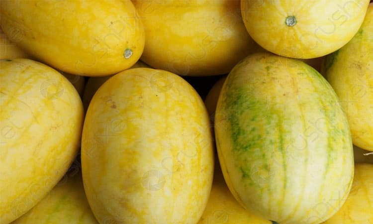 ಬಣ್ಣ ಬಣ್ಣದ ಕಲ್ಲಂಗಡಿ ಕೊಳ್ಳಲು ಮುಗಿಬಿದ್ದ ಜನ