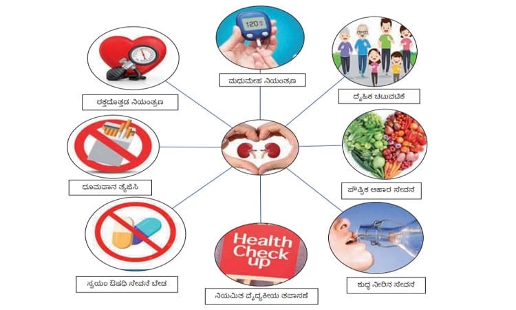 ಮೂತ್ರಪಿಂಡ (ಕಿಡ್ನಿ); ಆರೋಗ್ಯ ಅಭಿಯಾನ