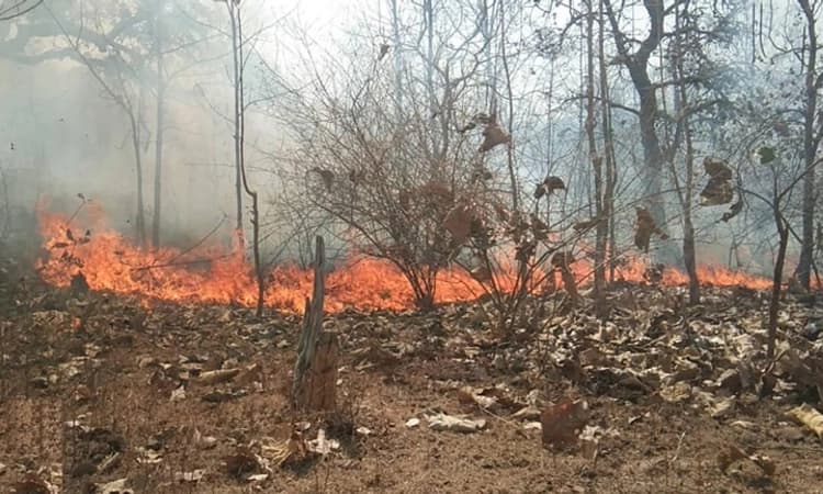 ಕಡಂಬಳ್ಳಿ ಗುಡ್ಡದಲ್ಲಿ ಮತ್ತೆ ಬೆಂಕಿ; ನಿಯಂತ್ರಣಕ್ಕೆ ಸಾಹಸ