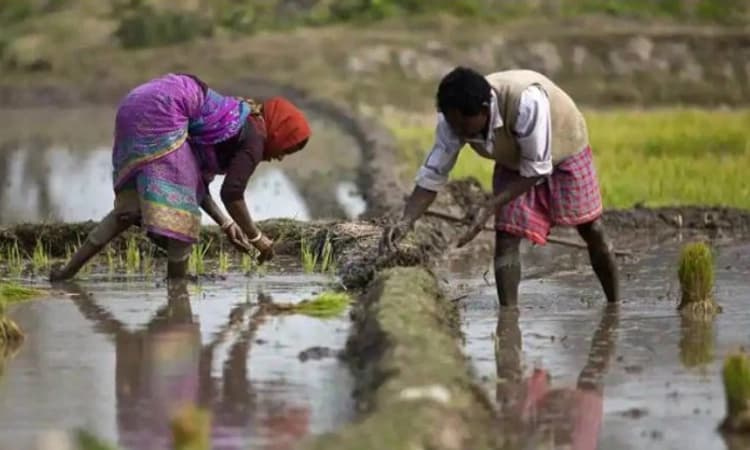 ಪಿಎಂ ಕಿಸಾನ್‌ ಸಮ್ಮಾನ ನಿಧಿ: ಕರಾವಳಿ 56.11ಕೋಟಿ ರೂ. ಬಿಡುಗಡೆ