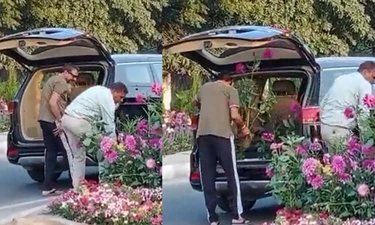 ಜಿ-20 ಶೃಂಗಸಭೆಗಾಗಿ ತಂದಿದ್ದ ಹೂವಿನ ಕುಂಡಗಳನ್ನು ಐಷಾರಾಮಿ ಕಾರಿನಲ್ಲಿ ಬಂದು ಕದ್ದೊಯ್ದರು