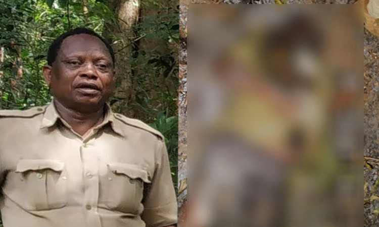 ಕಾಡಿನಲ್ಲಿ ಬೆಂಕಿ ನಂದಿಸಲು ಹೋಗಿ ಸುಟ್ಟು ಕರಕಲಾದ ಫಾರೆಸ್ಟ್‌ ವಾಚರ್