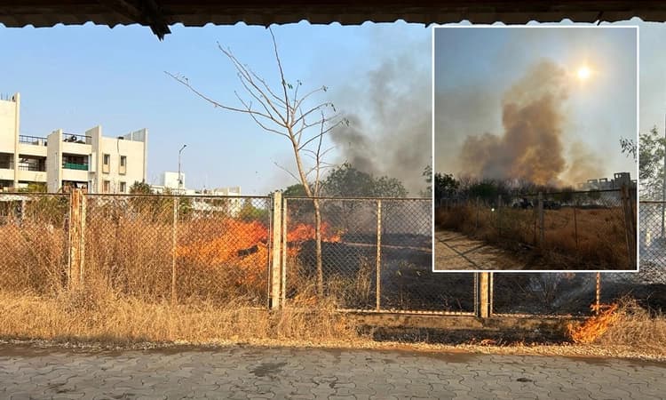 ಕಲಬುರಗಿ: ಸಿಯುಕೆ ಆವರಣದಲ್ಲಿ ಭಾರಿ ಬೆಂಕಿ… ಗಿಡ ಮರ ಪ್ರಾಣಿ–ಪಕ್ಷಿಗಳು ಭಸ್ಮ