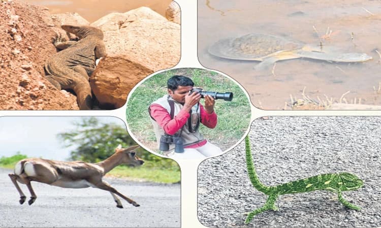 ಅರಣ್ಯ ಗಸ್ತು ಪಾಲಕನಿಂದ ಪ್ರಾಣಿ-ಪಕ್ಷಿ ಸಂರಕ್ಷಣೆ ಪಣ