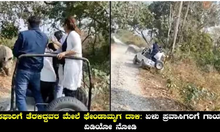 ಸಫಾರಿಗೆ ತೆರಳಿದ್ದವರ ಮೇಲೆ ಘೇಂಡಾಮೃಗ ದಾಳಿ: ಏಳು ಪ್ರವಾಸಿಗರಿಗೆ ಗಾಯ; ವಿಡಿಯೋ ನೋಡಿ