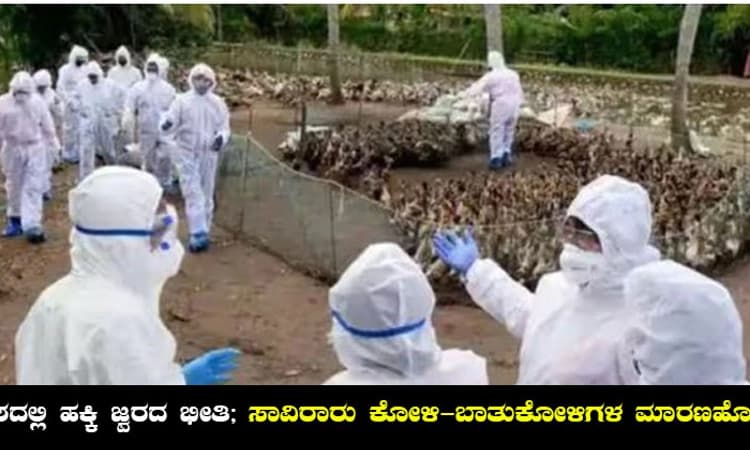 ದೇಶದಲ್ಲಿ ಹಕ್ಕಿ ಜ್ವರದ ಭೀತಿ; ಸಾವಿರಾರು ಕೋಳಿ- ಬಾತುಕೋಳಿಗಳ ಮಾರಣಹೋಮ