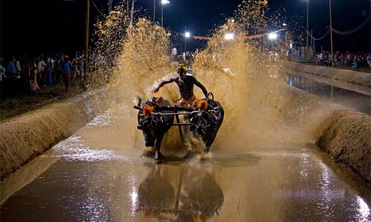 ಕಂಬಳ “ನಾಡ ಕ್ರೀಡೆ’; ಪರಿಶೀಲನೆ; ಶ್ರೀನಿವಾಸ ಪೂಜಾರಿ