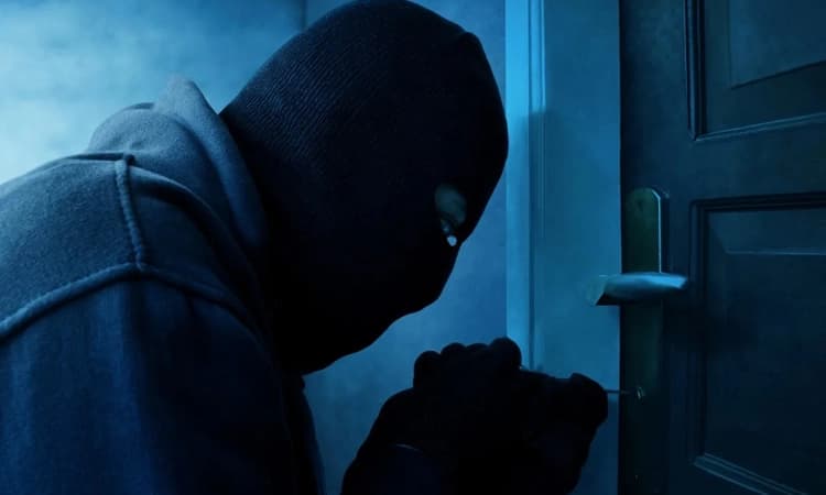 ಕುದ್ದುಪದವು: ಮನೆಯಿಂದ ಚಿನ್ನಾಭರಣ, ನಗದು ಕಳವು