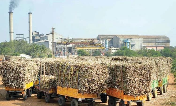ಬೆಳಗಾವಿಯಲ್ಲಿ ಸಕ್ಕರೆ ರಾಜಕಾರಣದ ಸದ್ದು