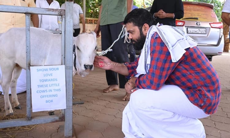 ಶಿವಪಾಡಿಗೆ ಚಿತ್ರನಟ ರಕ್ಷಿತ್‌ ಶೆಟ್ಟಿ ಭೇಟಿ: ಪುಂಗನೂರು ಗೋವುಗಳನ್ನು ಮುದ್ದಾಡಿದ ನಟ
