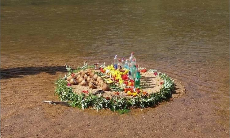 ಮೂಡಿಗೆರೆ: ಕಣ್ಣು ದೃಷ್ಟಿ ತೆಗೆಯುವ ಕೆಸವಳಲು ಕೂಡಿಗೆ