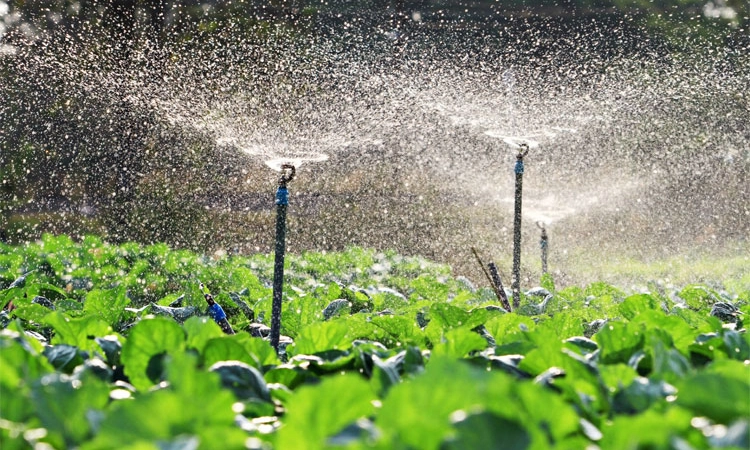 ನೀರಾವರಿಗೆ ಉತ್ತಮ ಬಜೆಟ್‌