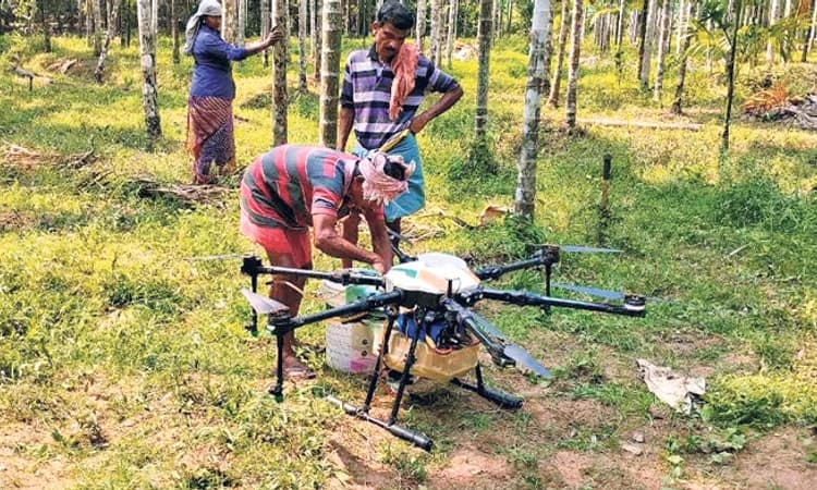ಡ್ರೋನ್‌ನಿಂದ ಎಲೆಚುಕ್ಕಿ ರೋಗಕ್ಕೆ ಔಷಧ: ಬೆಳ್ತಂಗಡಿಯಲ್ಲಿ ಯಶಸ್ವಿ