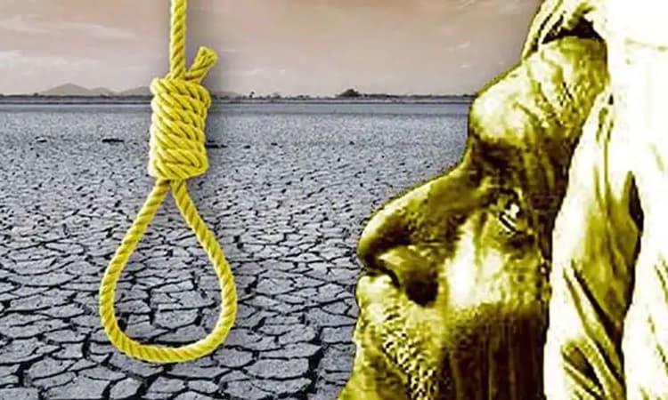 ರೈತರ ಆತ್ಮಹತ್ಯೆ ಸಮಸ್ಯೆಗೆ ಪರಿಹಾರ ಇಲ್ಲದ ಬಜೆಟ್‌