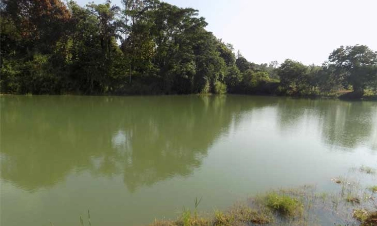 ಕರ್ನಾಟಕ ಬಜೆಟ್ 2023: ಏನಿದು ಸಹಸ್ರ ಸರೋವರ, ಸಹ್ಯಾದ್ರಿ ಸಿರಿ, ಜಲನಿಧಿ ಯೋಜನೆ?