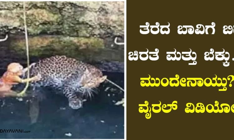 Watch: ತೆರೆದ ಬಾವಿಗೆ ಬಿದ್ದ ಚಿರತೆ ಮತ್ತು ಬೆಕ್ಕು…ಮುಂದೇನಾಯ್ತು? ವೈರಲ್ ವಿಡಿಯೋ
