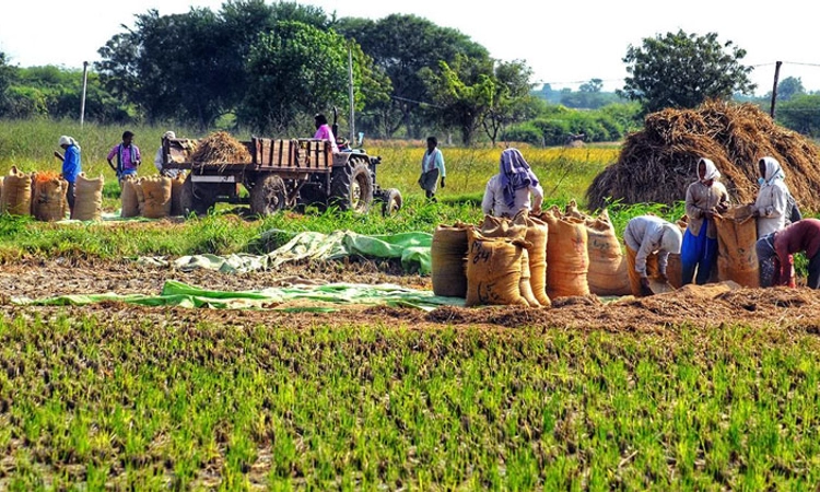 “ಸಹಕಾರ ವೃದ್ಧಿ’ಗೆ ಕೇಂದ್ರದ ಸಹಕಾರ; ಐದು ವರ್ಷಗಳಲ್ಲಿ 2 ಲಕ್ಷ ಪಿಎಸಿಎಸ್‌ ಸ್ಥಾಪನೆ