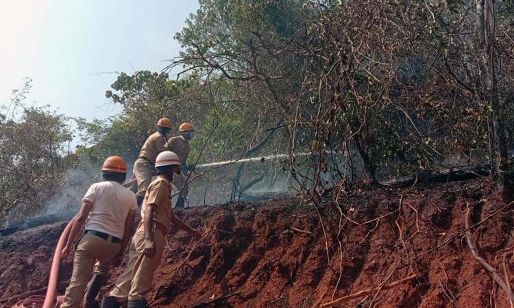 ಪಚ್ಚನಾಡಿಯಲ್ಲಿ ಮುಗಿಯದ ಅಗ್ನಿ ದೇವನ ಆಟ: ಗುಡ್ಡಕ್ಕೆ ಬೆಂಕಿ ಬಿದ್ದು ಮರ ಗಿಡ ಬೆಂಕಿಗಾಹುತಿ