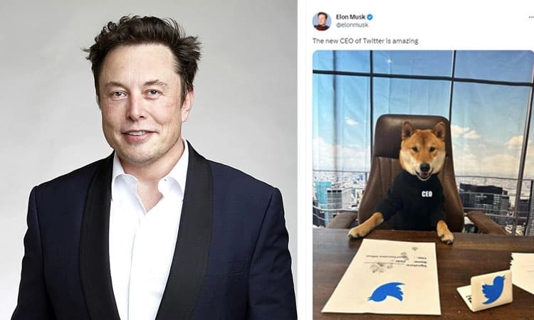 ಬಿಲಿಯನ್‌ ಡಾಲರ್‌ ಟ್ವಿಟರ್‌ ಸಂಸ್ಥೆಗೆ ಈ ನಾಯಿಯೇ ಸಿಇಒ.! : ಎಲಾನ್‌ ಮಸ್ಕ್‌ ಟ್ವೀಟ್‌ ವೈರಲ್
