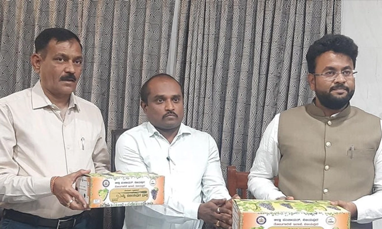 ದ್ರಾಕ್ಷಿನಾಡು ವಿಜಯಪುರದಲ್ಲಿ 16 ರಿಂದ ಐದು ದಿನ ದ್ರಾಕ್ಷಿ ಪ್ರದರ್ಶನ- ಮಾರಾಟ