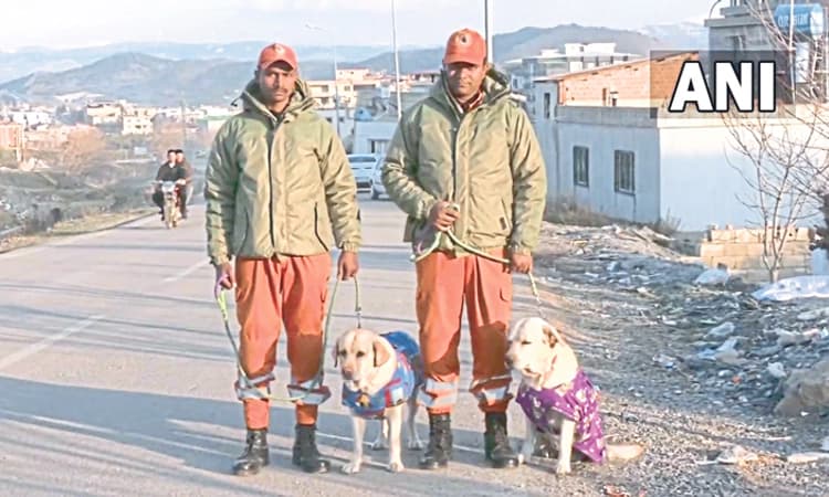 ಆರು ವರ್ಷದ ಬಾಲಕಿಯನ್ನು ಬದುಕಿಸಿದ ಭಾರತದ ಶ್ವಾನ!