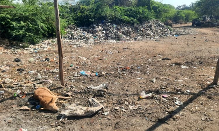 ಬಾದನಹಟ್ಟಿ ಗ್ರಾಮದ ದೇವಿಯ ಕುಂಭೋತ್ಸವ: ಬರುವವರೇ ಎಚ್ಚರ!