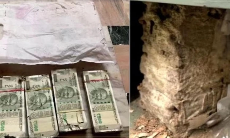 2.15 ಲಕ್ಷ ರೂ.ತಿಂದು ತೇಗಿದ ಗೆದ್ದಲು !