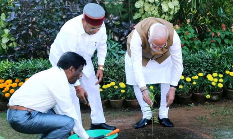 ರಾಜಭವನದಲ್ಲಿ ಶ್ರೀಗಂಧದ ಸಸಿ ನೆಟ್ಟ ಪ್ರಧಾನಿ ಮೋದಿ