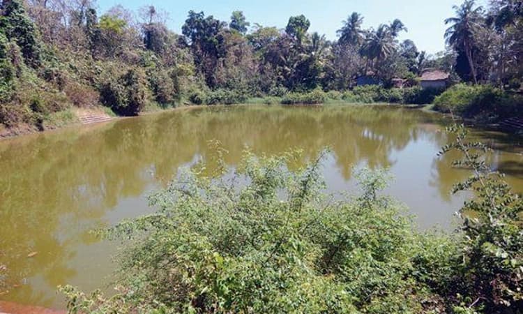 ನಿರ್ವಹಣೆಯಿಲ್ಲದೆ ಸೊರಗುತ್ತಿವೆ ಅಭಿವೃದ್ಧಿ ಹೊಂದಿದ ಕೆರೆಗಳು!