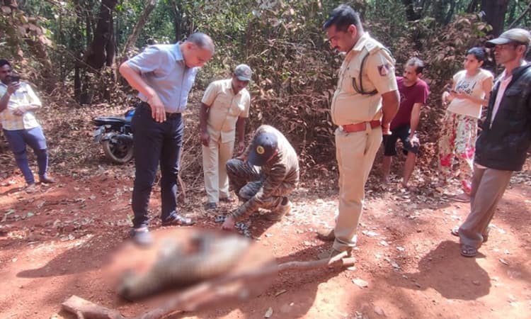 ಯಲ್ಲಾಪುರ: ಹೆಣ್ಣು ಚಿರತೆ ಅಸಹಜ ಸಾವು, ಅರಣ್ಯ ಅಧಿಕಾರಿಗಳಿಂದ ಪರಿಶೀಲನೆ