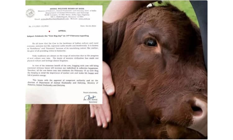 ವ್ಯಾಲೆಂಟೈನ್ಸ್‌ ಡೇ ಬದಲು ಹಸುಗಳನ್ನು ಅಪ್ಪಿಕೊಳ್ಳುವ ದಿನವನ್ನಾಗಿ ಆಚರಿಸಿ: ಪತ್ರ ವೈರಲ್‌