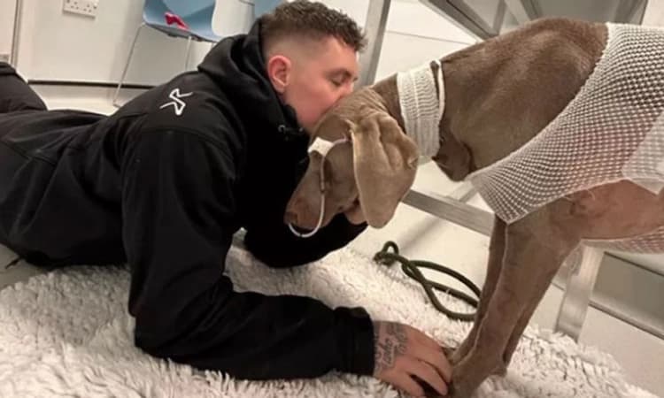 ಶ್ವಾನಕ್ಕಾಗಿ ಮನೆ ಮಾರಲು ಸಿದ್ಧನಾಗಿದ್ದ!