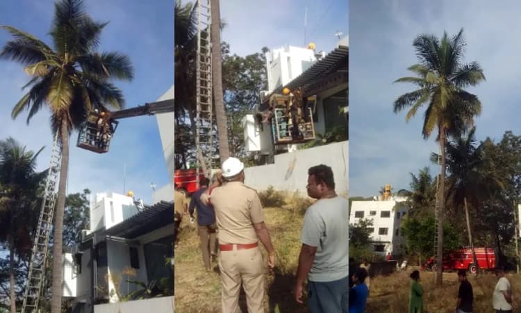 ಕಾಯಿ ಕೀಳಲು ತೆಂಗಿನ ಮರ ಹತ್ತಿದ ವ್ಯಕ್ತಿಗೆ ಹೃದಯಾಘಾತ, ಮರದಲ್ಲೇ ಕೊನೆಯುಸಿರು !