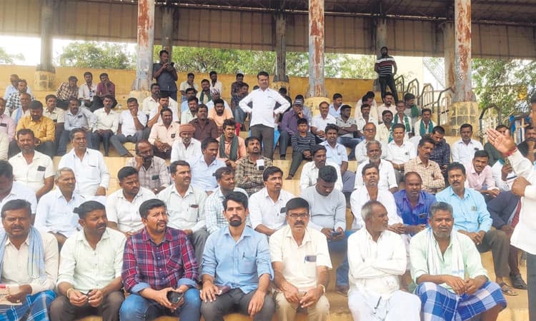 ಬೆಂಬಲ ಬೆಲೆಯಲ್ಲಿ ಅರಿಶಿಣ ಖರೀದಿಗೆ ಆಗ್ರಹ