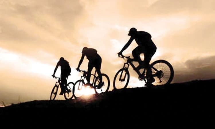 ಡಚ್ಚರ ನಗರಗಳೂ, ಬೈಸಿಕಲ್‌ಗ‌ಳೂ…