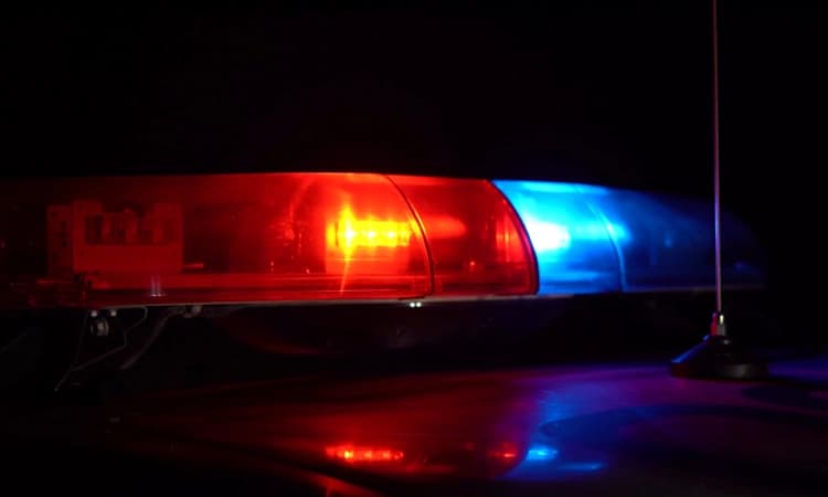 ಮಂಗಳೂರು ವಿಮಾನ ನಿಲ್ದಾಣ: 1.617 ಕೆ.ಜಿ. ಚಿನ್ನ ಸಹಿತ 96.76 ಲ.ರೂ. ಮೌಲ್ಯದ ಸೊತ್ತುಗಳ ವಶ