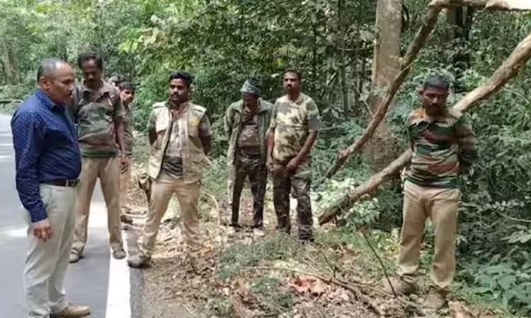 ಕೊಡಗಿನ ಗಡಿಯಲ್ಲಿ ಕೇರಳದ ತ್ಯಾಜ್ಯ ! ಅಧಿಕಾರಿಗಳಿಂದ ಪರಿಶೀಲನೆ