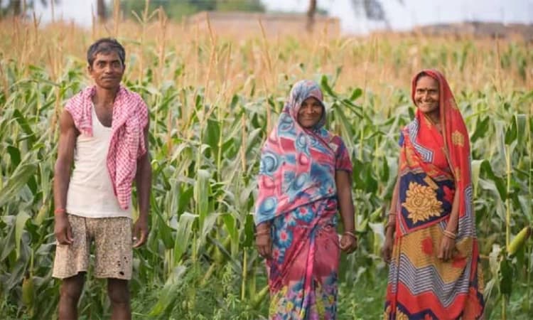 Union Budget 2023: 20 ಲಕ್ಷ ಕೋಟಿ ರೂಪಾಯಿ ಕೃಷಿ ಸಾಲದ ಗುರಿ-ಕೃಷಿ ಕ್ಷೇತ್ರಕ್ಕೆ ಡಿಜಿಟಲ್ ಸ್ಪರ್ಶ